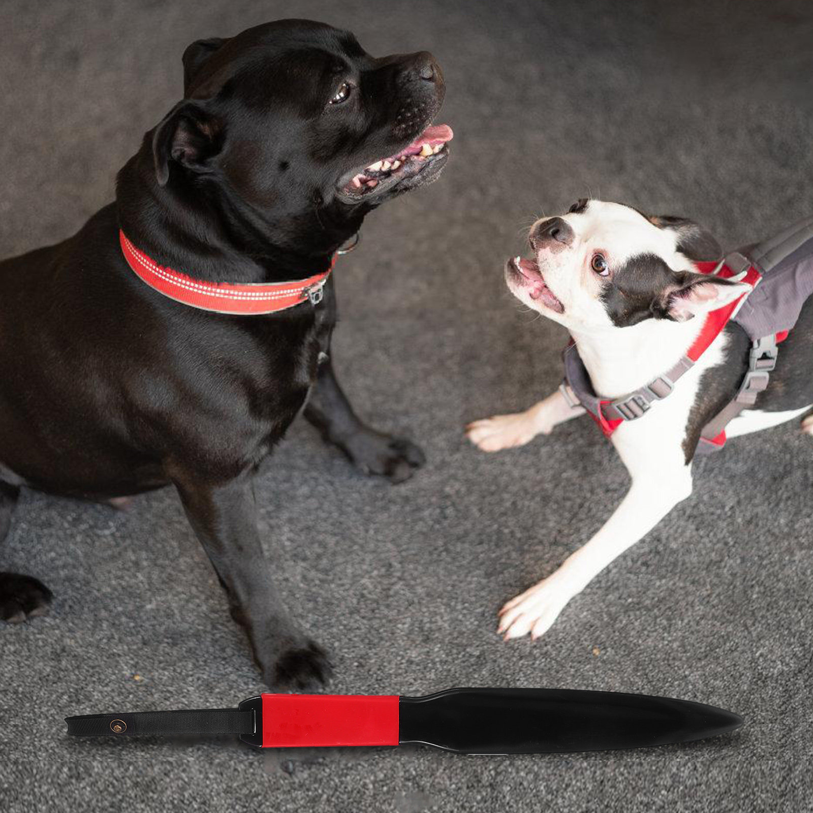 Büyük ve Güçlü Köpekler İçin A - Power Tools Training incelemesi ve fiyatı
